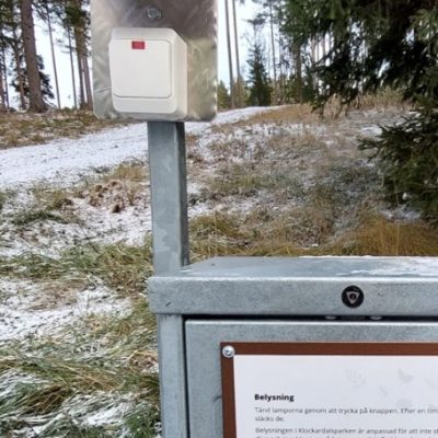 Picture6