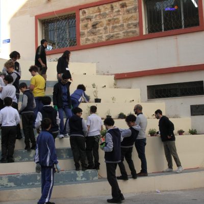 stella maris 7
